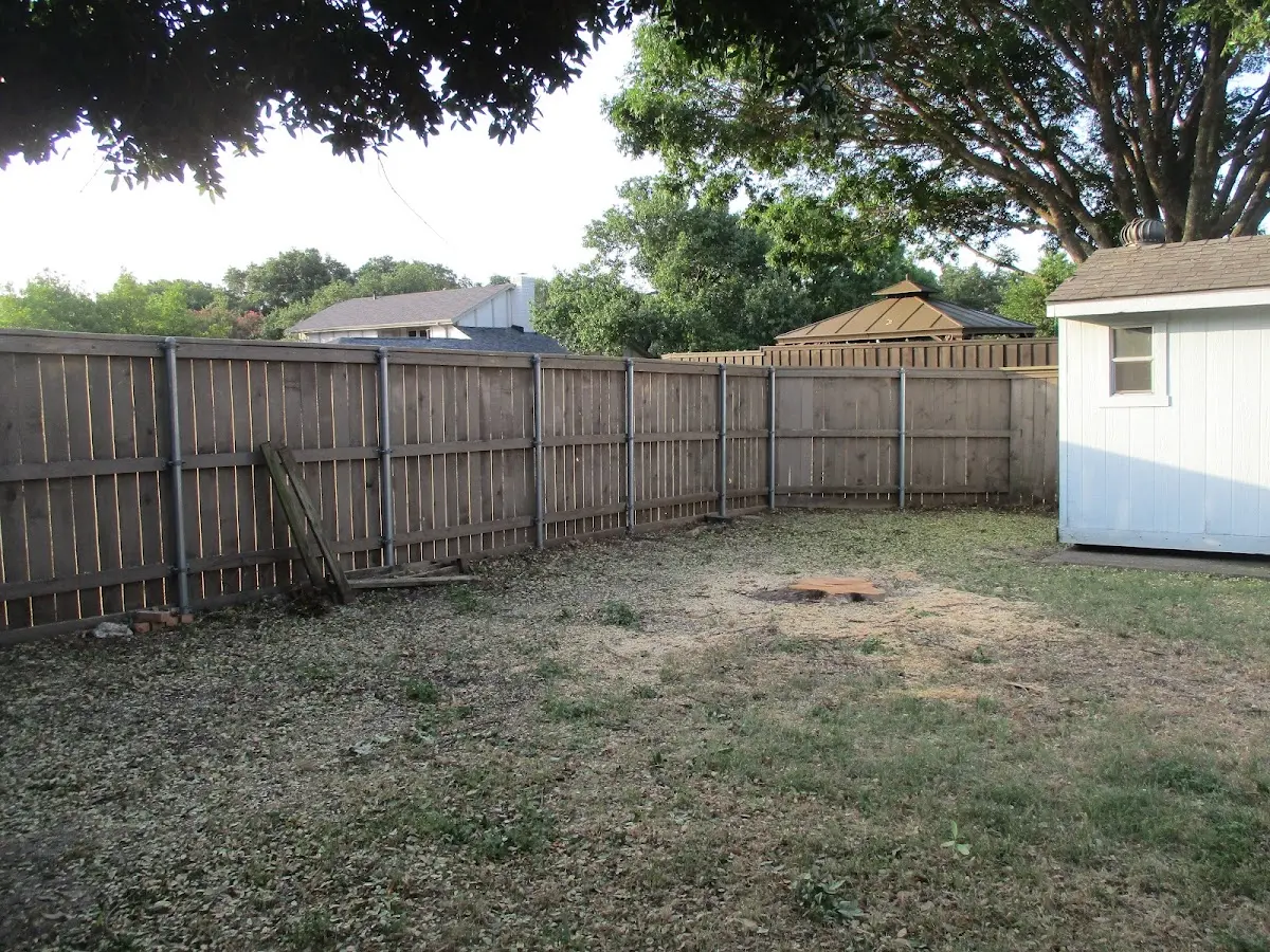 Cleared yard after professional tree removal in Wallpack Center
